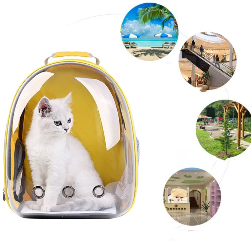 Transparent Cat Backpack