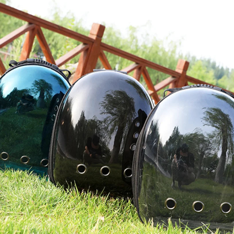 Transparent Cat Backpack