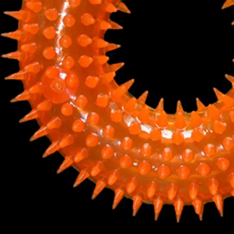 Colorful Chew Toy for Dogs