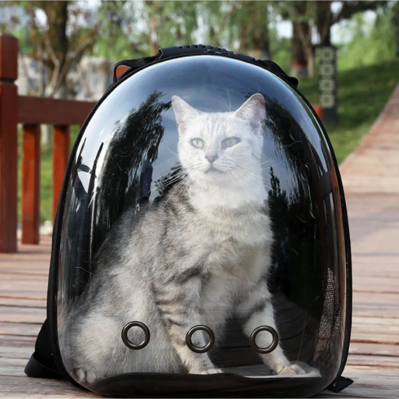 Transparent Cat Backpack