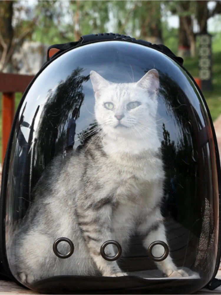 Transparent Cat Backpack