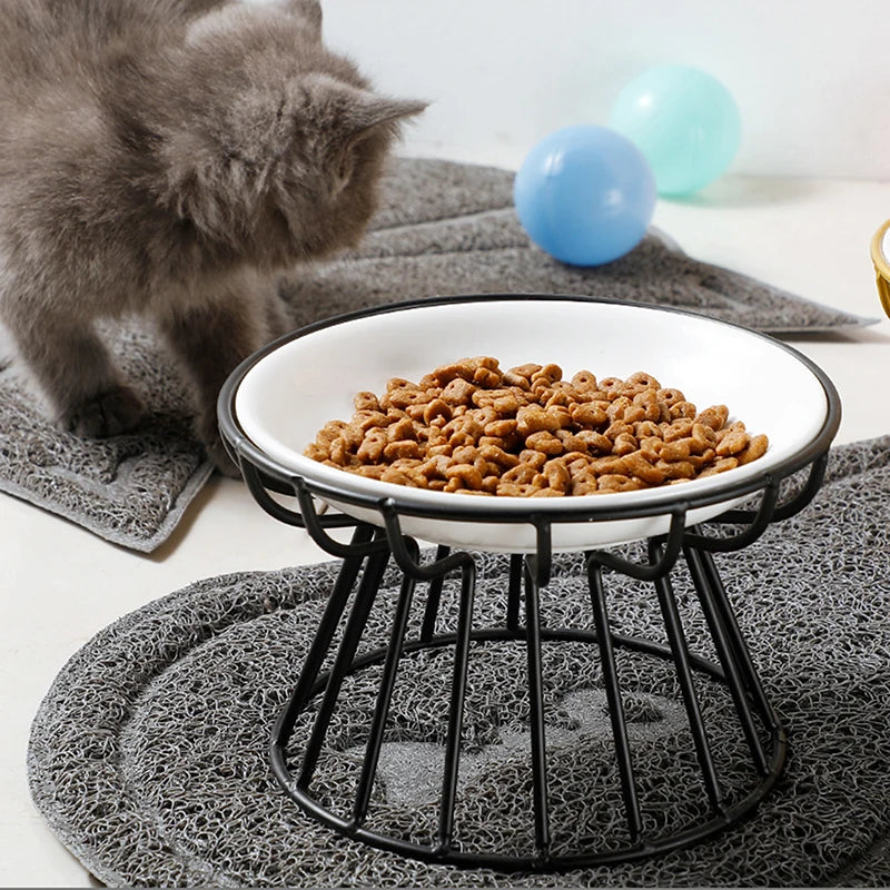 Luxury Lifted Bowl for Cats and Small Dogs